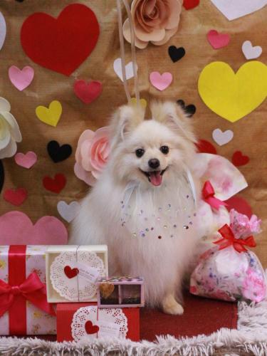 20230204米太郎くん